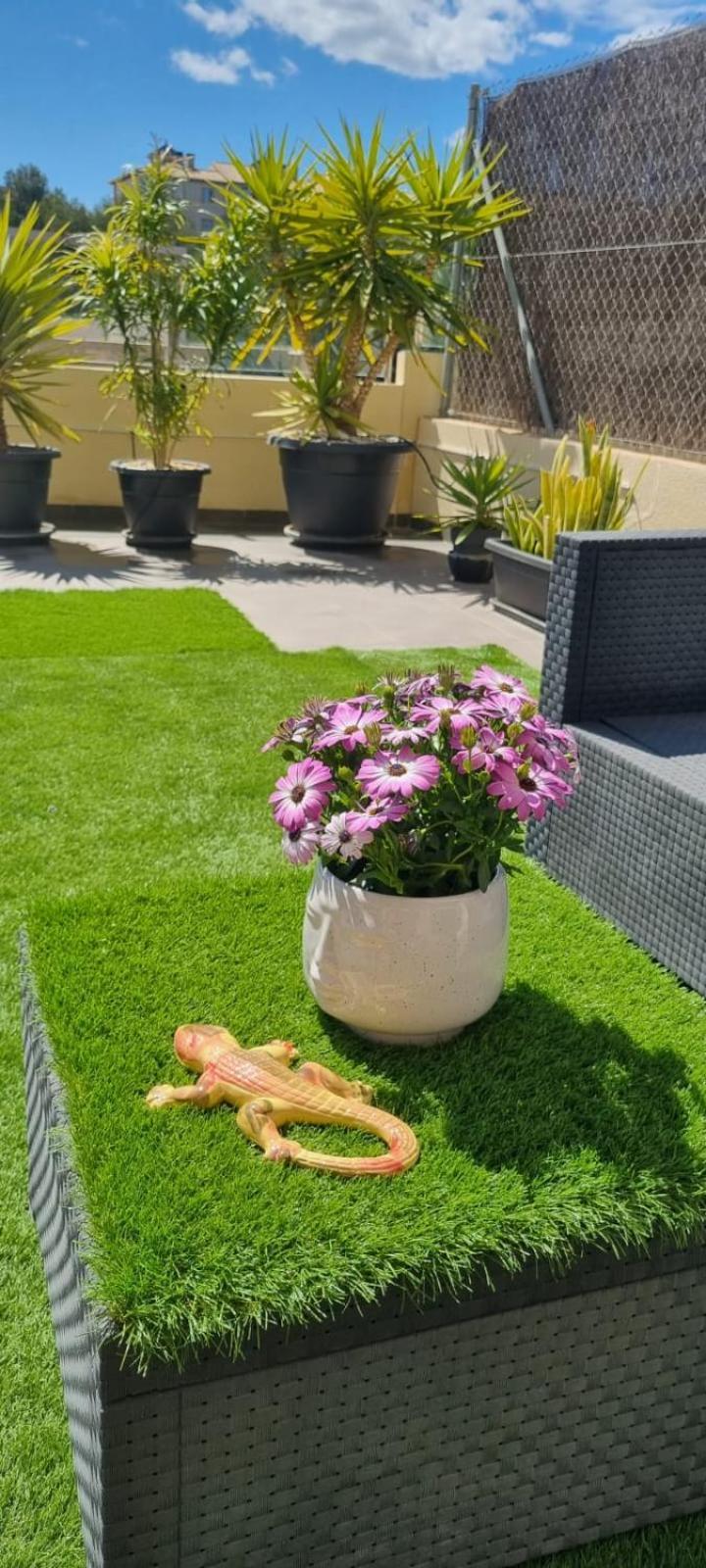 La Zenia Sabrina Apartment 5 Orihuela Zewnętrze zdjęcie
